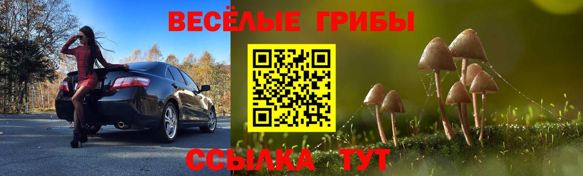 Апшеронск  Псилоцибиновые грибы ЛСД  Вход с VPN 